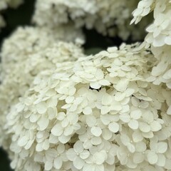 По душе ❤️