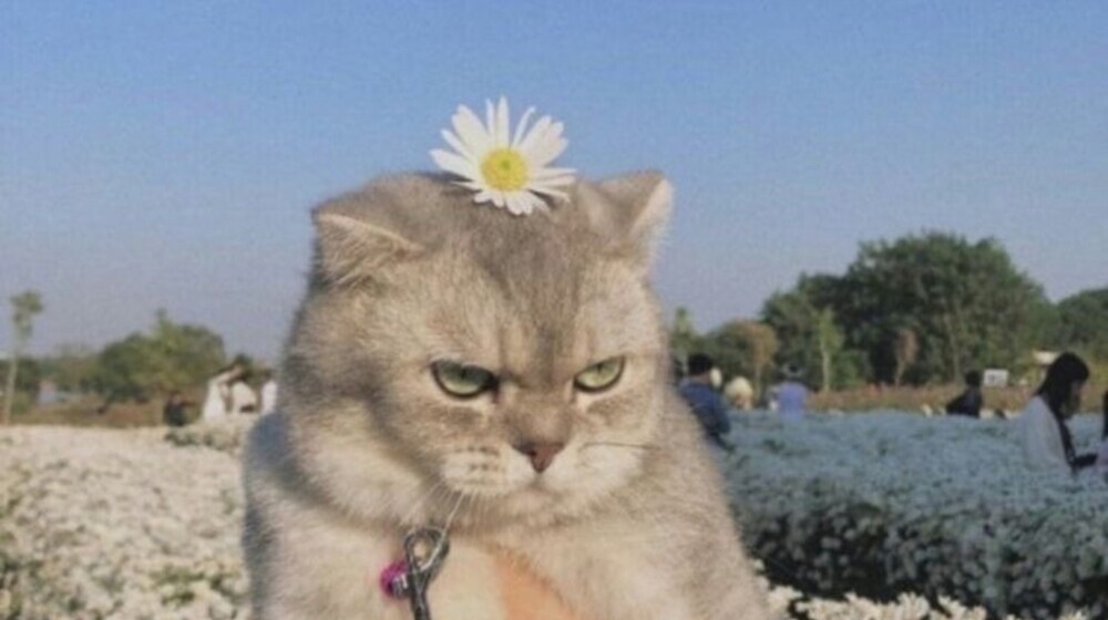 ✅ прочитано 