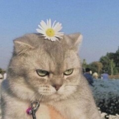 ✅ прочитано 