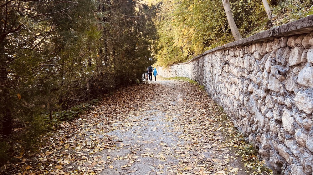 Книги на осень