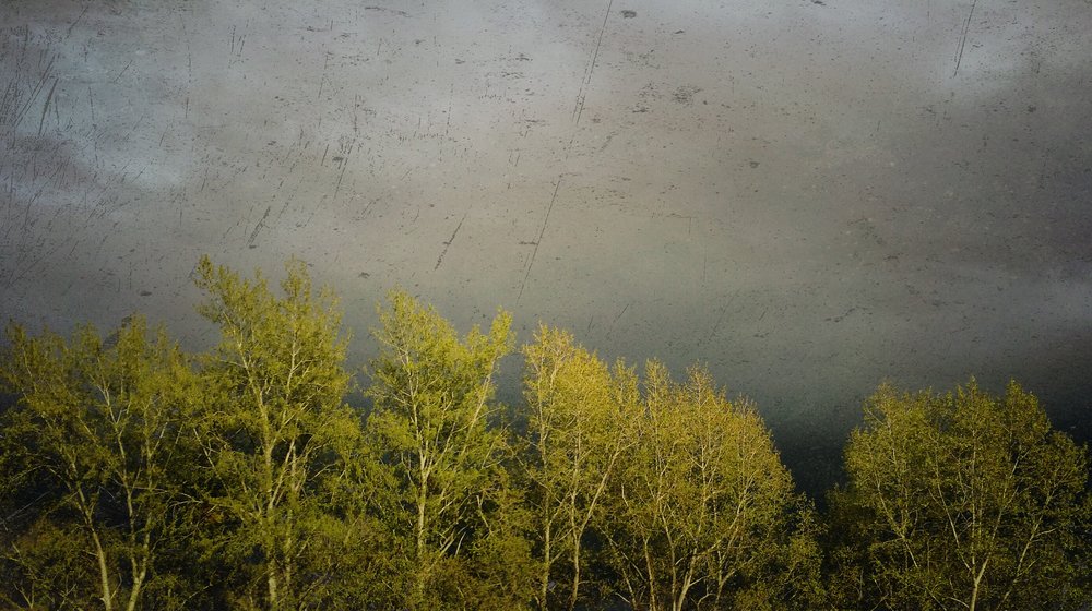 Харуки Мураками