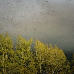 Харуки Мураками