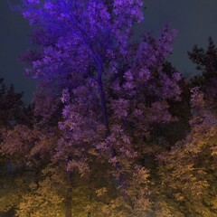 Незнаю как назвать