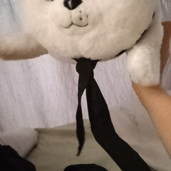 Про собак чеееек