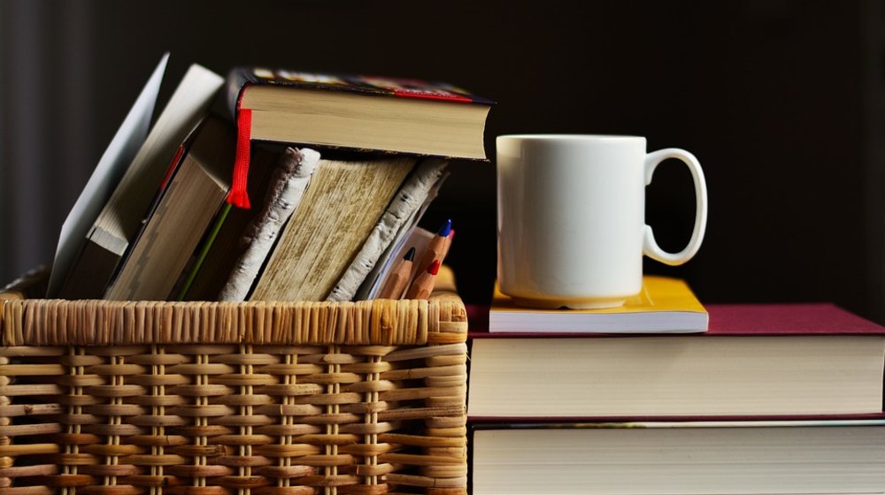 Теория и история литературы