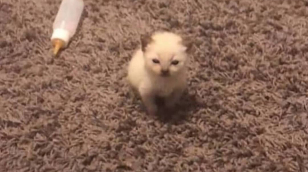 Что-то нужное и важное