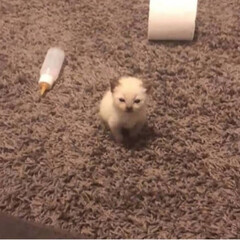 Что-то нужное и важное