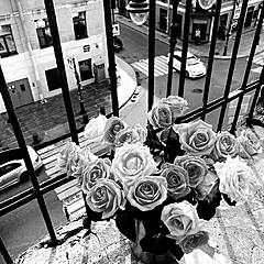 Юстейн Гордер 