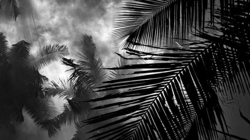 Педагогика и психология