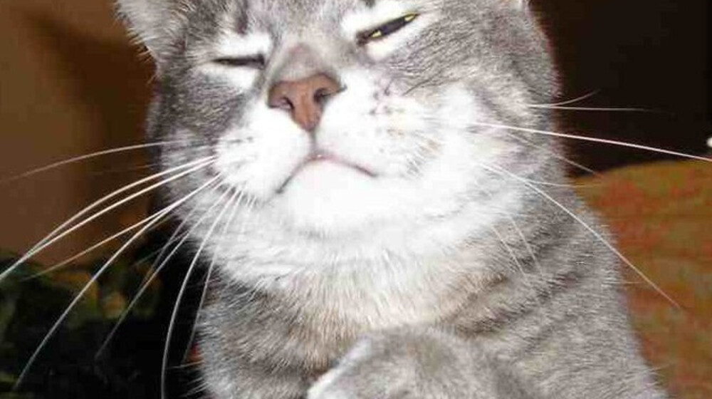 Мои любимые ❤️