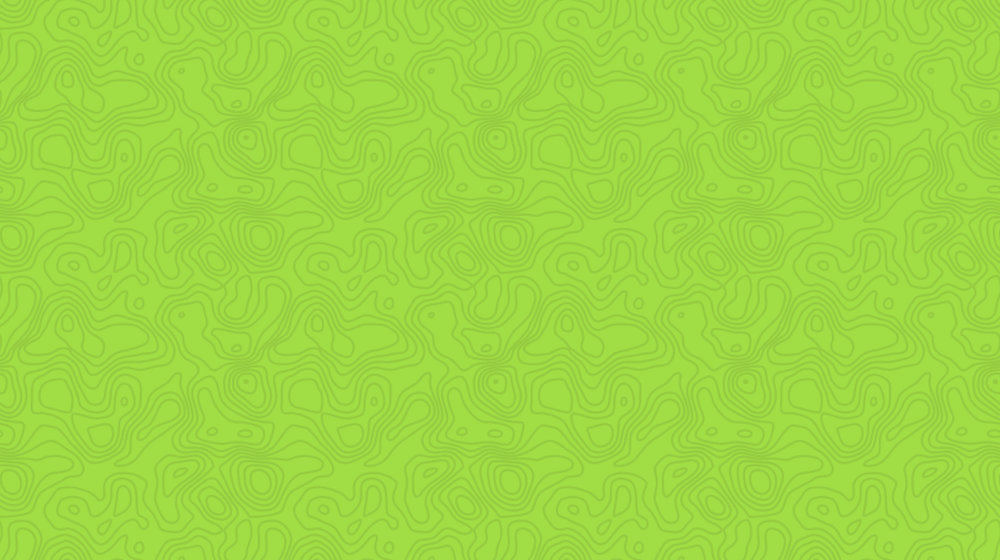 История зарубежной литературы 