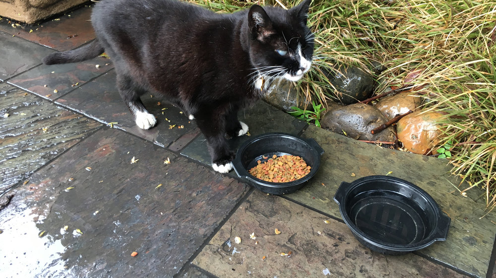 Для развития