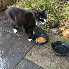 Для развития