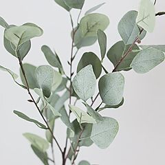 Психолингвистика и лингвистика