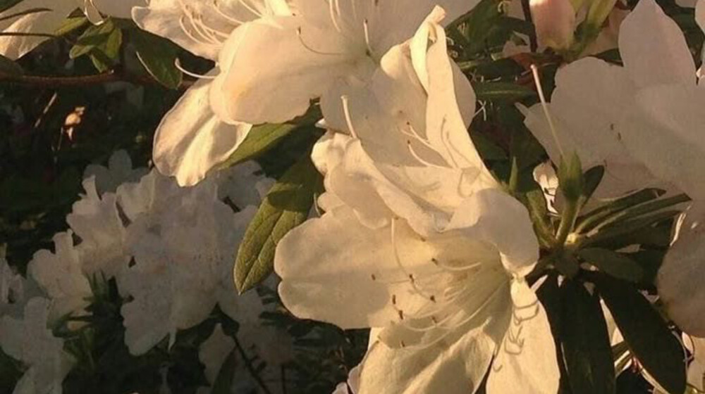 Прочитанное