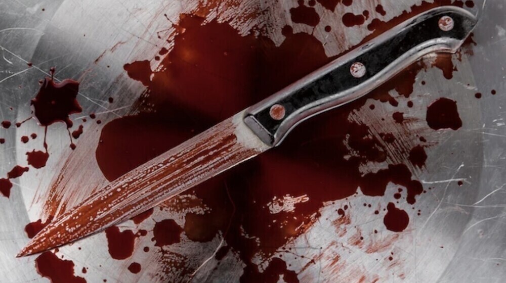 Триллер. Профайлер. Убийца ☠️