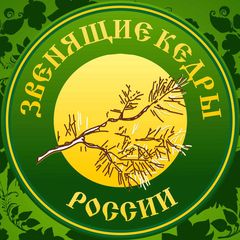 Звенящие кедры России