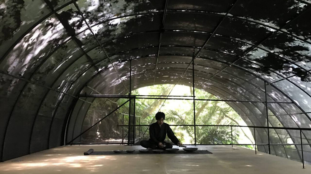 Антропология