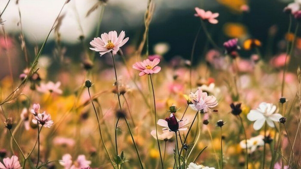 Для приятного летнего настроения ☀️🌡️⛱️🌊