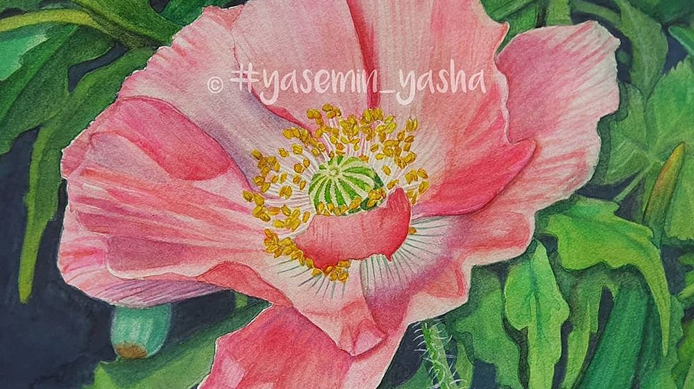 Психология 