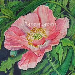 Психология 