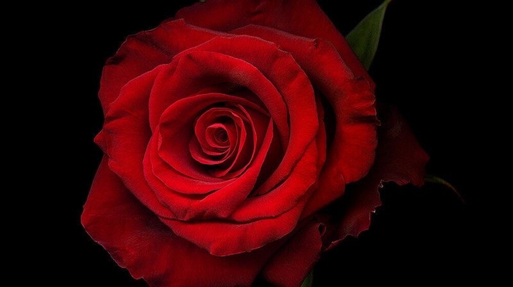 Финансы | Экономика