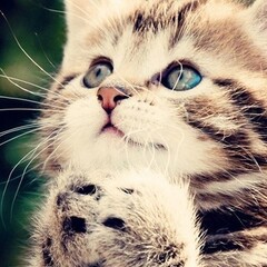 ЛитРПГ(советую)