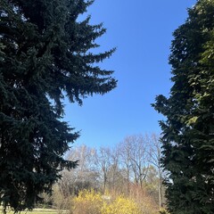 Книжный РАЙ