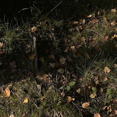 Книги для приятной грусти