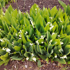 лето2025: прочитанное