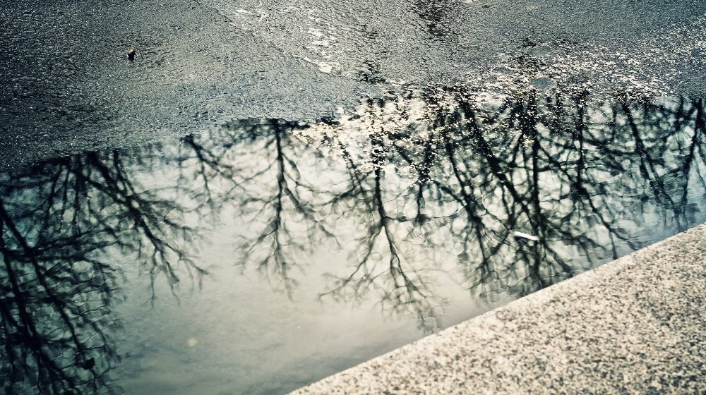 Скандинавский детектив: главные книги