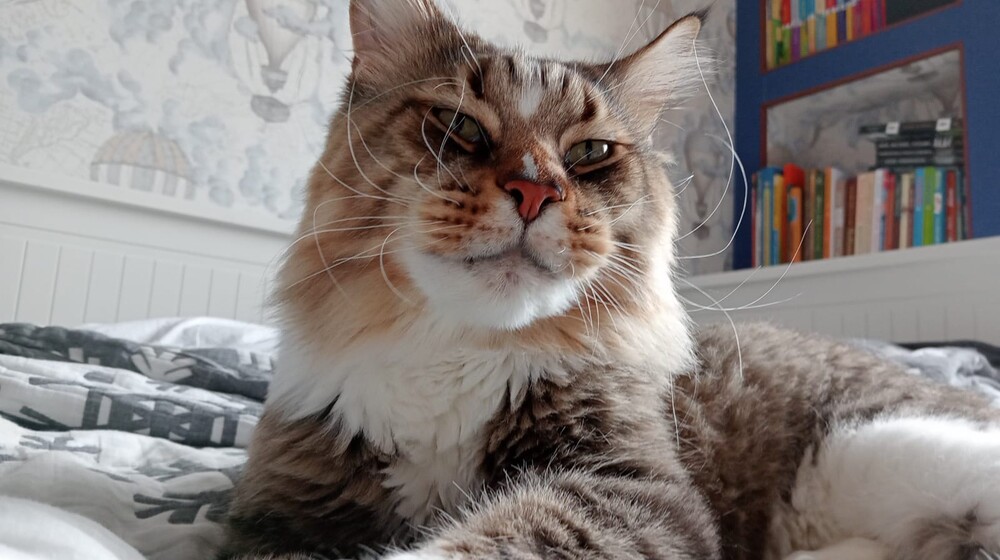 Ноябрь-декабрь2025