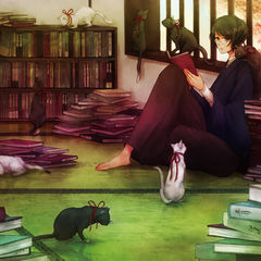 Рай гуманитария