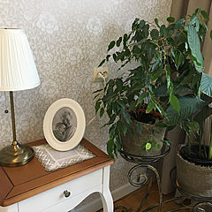 Надежда Сергеевна