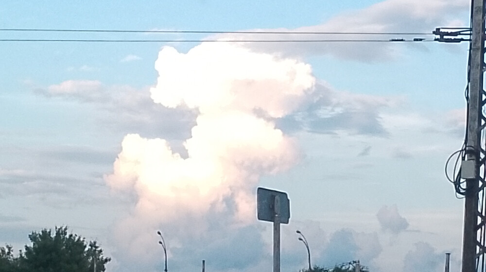 Вайбовые книги 📚