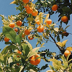 🦢Легкость бытия🦢