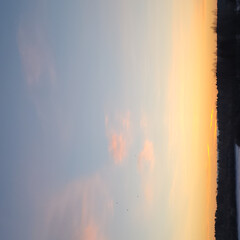 Начала, но не закончила