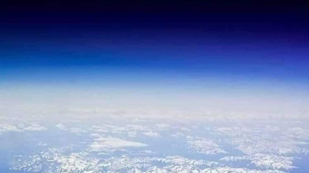 Катина полка