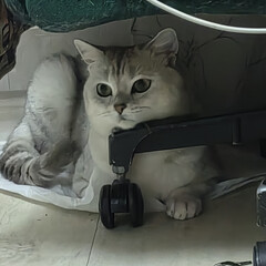 Стивен Кинг