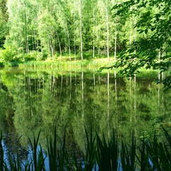 Фолк. Подростки