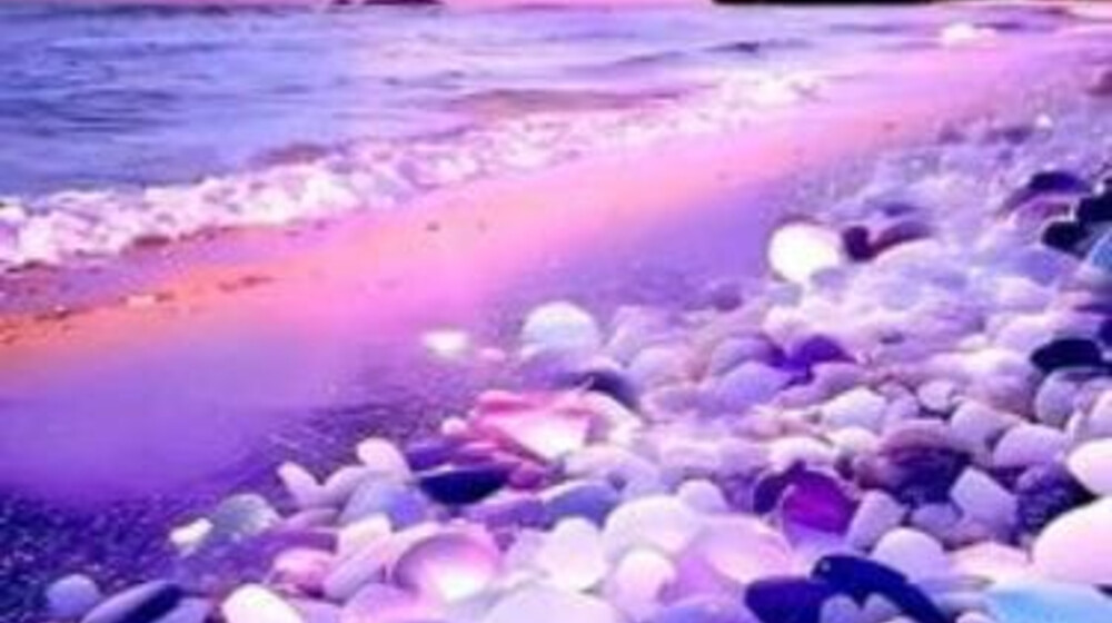 •|Дети моря|•