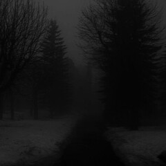 Певцы и другие знаменитости