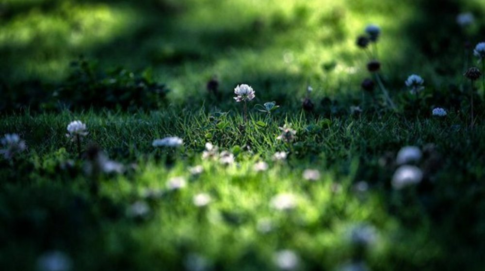 Свежий взгляд 