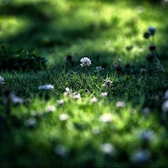 Свежий взгляд 