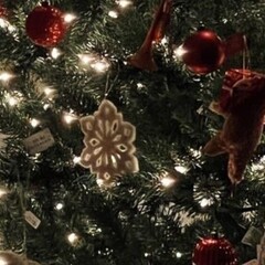 полный Jingle Bells или книги с зимней атмосферой❄️🎅