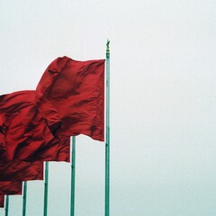 Красные флаги в литературе