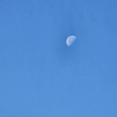 Макс фрай
Другая сторона