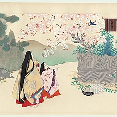 цветки вишни 🌸