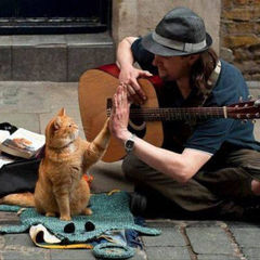 Джеймс Боуэн и кот Боб