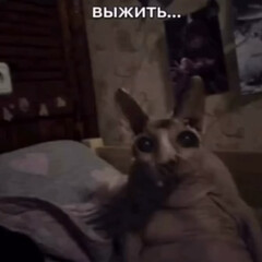 Навыки выживания